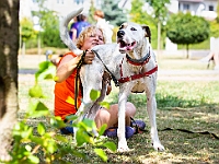 Adoptuj Warszawiaka  Wydarzenie promujące adopcję zwierząt. Organizator: Schronisko dla Bezdomnych Zwierząt "Na Paluchu". 18 sierpnia 2019, Park Raszyński w Raszynie. : park raszyński, adoptuj warszawiaka, na paluchu, schronisko dla zwierząt, centrum warszawy, raszyn